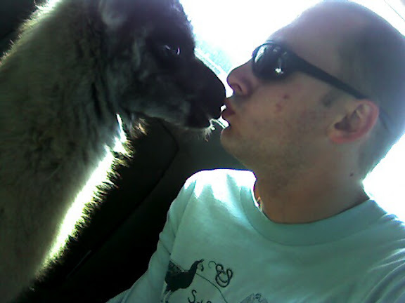 Picture of Nicoals and a baby Llama