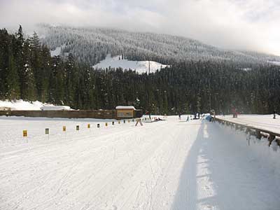 IMG_2292.jpg