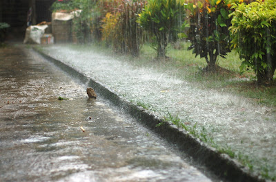 Monsoon