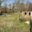 Nutmeg's Orchard garden