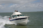 Ocqueteau 975