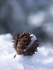 PICT0021.jpg