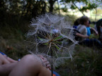 DSC03187.JPG
