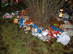 DSCN0367.JPG