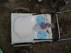 DSCN0855.JPG