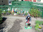 DSCN0810.JPG