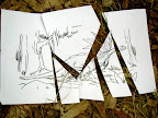 DSCN0969.JPG