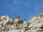 foto_0090.jpg