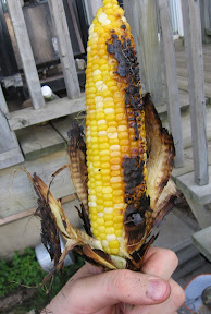 The corn on the cob