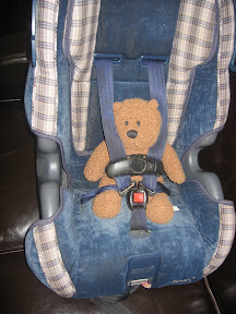Teddy Bear strapped into car seat