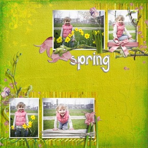 roos-spring_resize