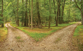 Dos caminos