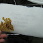 Tomato 'Hillbilly' Seeds