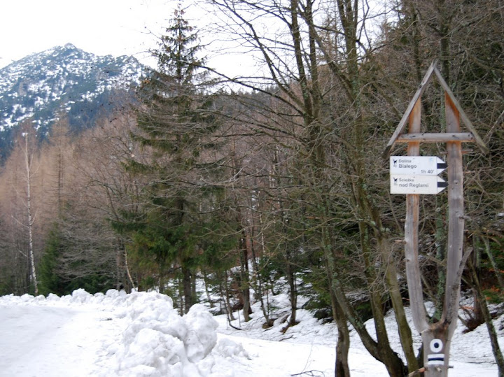 DSC_0061_ok.jpg