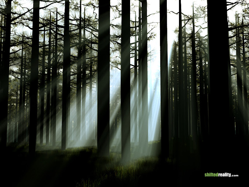 Beautiful wallpaper rays2002.jpg WallpaperBeautiful - http://henku.info