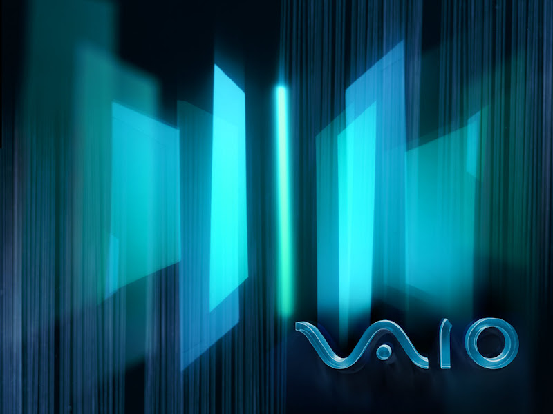 Wallpaper VAIO vaio_winter_night_1024.jpg WallpaperVAIO - http://henku.info