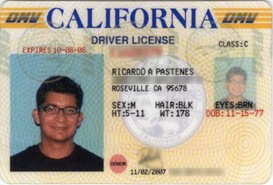 driver license