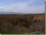 PICT0020