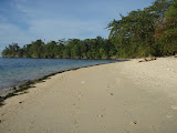 PA120145.JPG