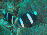 PA140260.JPG