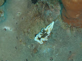 PA160316.JPG
