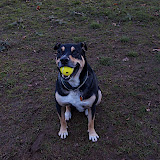 _DSC0012.NEF _DSC0012.NEF
