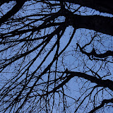 _DSC0031.NEF