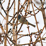 _DSC0031.JPG