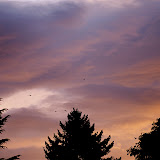 _DSC0015.JPG