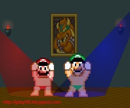 瑪莉歐,超級瑪莉歐,Super Mario Bros,攻略,new super mario bros