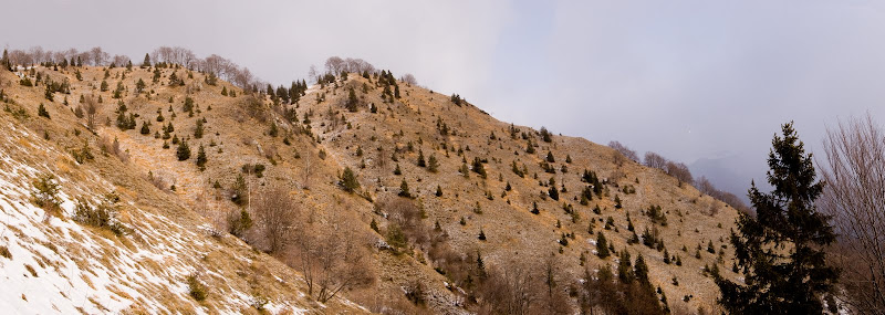 Pobočje