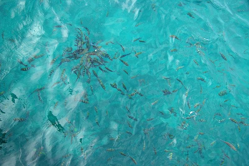 Лето 2007. Бангкок-Самуи-Краби. Фото.