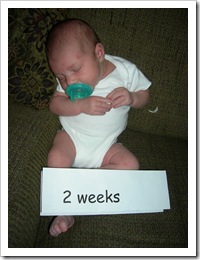 2 weeks old 001