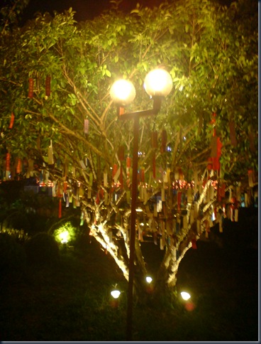 DSC01388