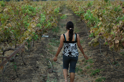Me in the vineyard