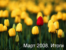Март 2008. Итоги работы блога