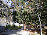 Le campus UCSC