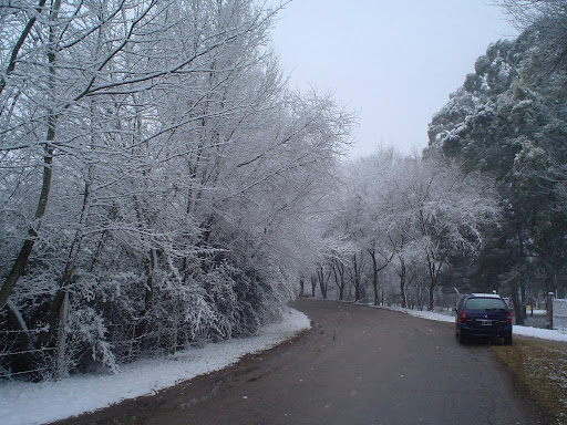 Sampacho bajo la nieve