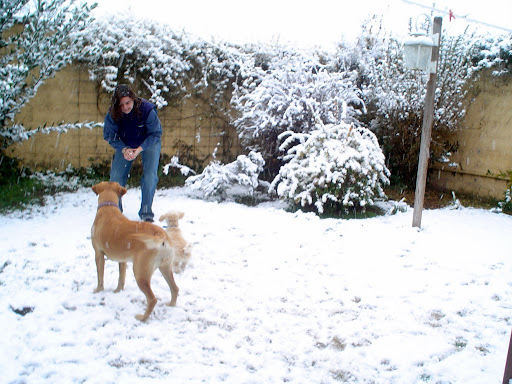 Sampacho bajo la nieve