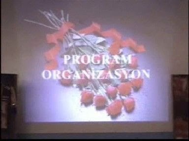 Program Organizasyon