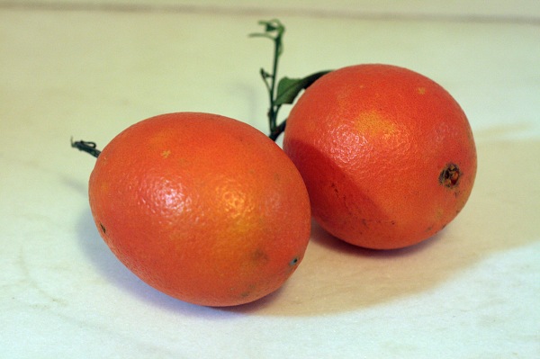 orange red