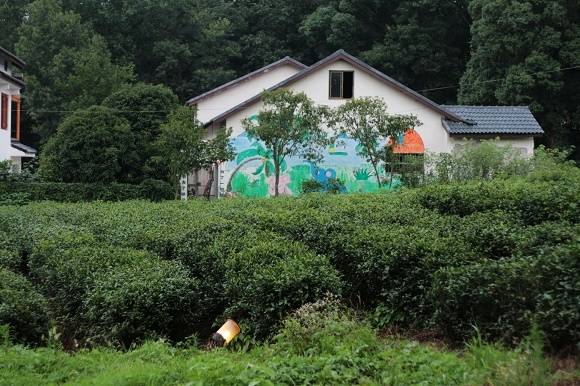 绿茶青年旅社