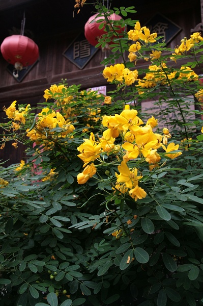 黄诀明