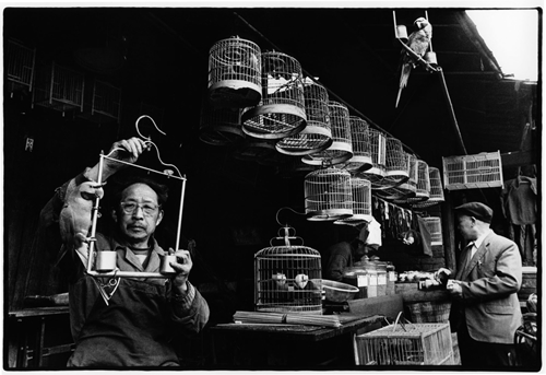 fotofest_china_41.jpg