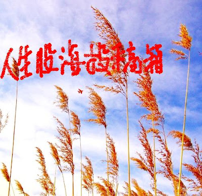 人生股海投稿箱