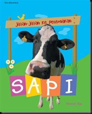 01_SAPI