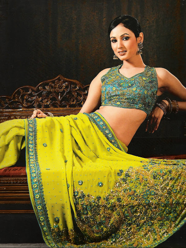 Indian women saree latest utsav style sarees SLSMG309B_1944x2592.jpg
