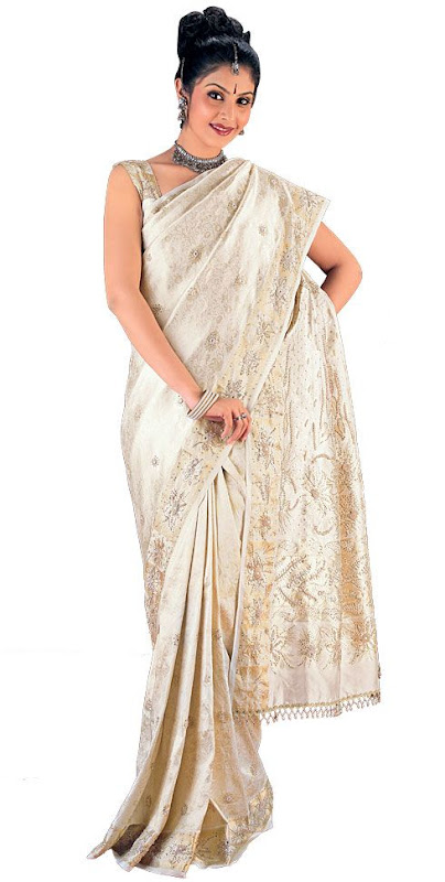 Indian Beautiful Fancy Dress: Sarees, sari EMN005c.jpg