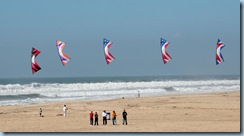 kites_5667