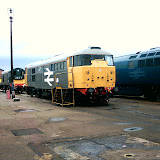Trains, Trains & more Trains